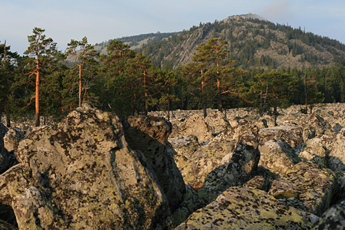 http://old.southural.ru/photos/photos/5449.jpg