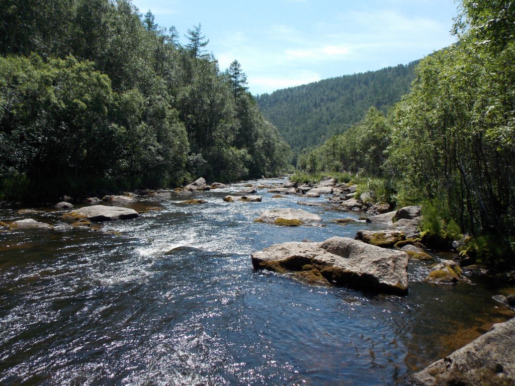 http://old.southural.ru/photos/photos/7810.jpg