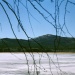 весна на озере Сугомак