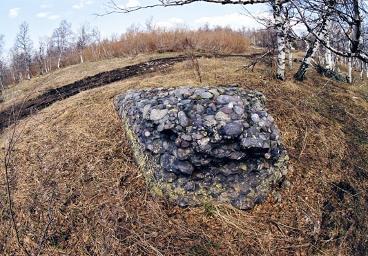 обломок конгломератной породы