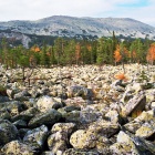 иремель с курума в долине тыгына